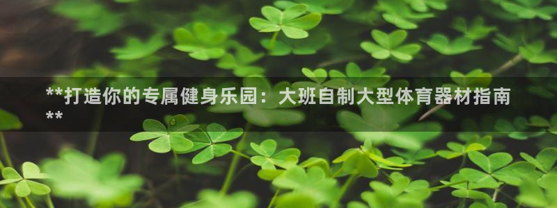 富联官方网站入口查询:**打造你的专属健身乐园:大班自制大型