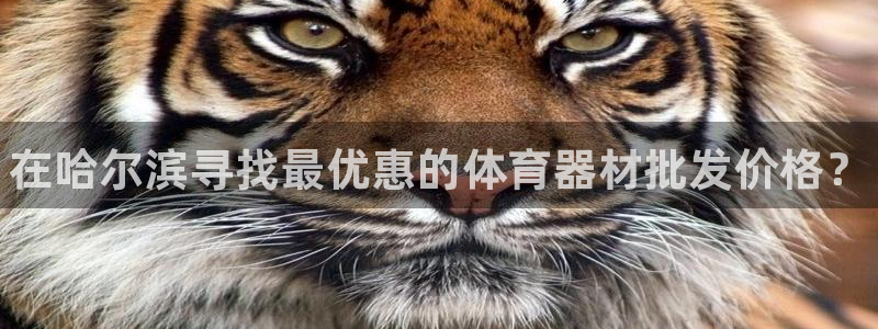 富联平台q665.786:在哈尔滨寻找最优惠的体育器材批发价