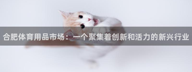 富联官方网站下载app:合肥体育用品市场:一个聚集着创新和活